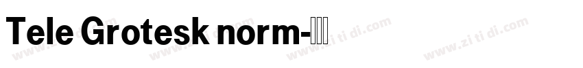 Tele Grotesk norm字体转换